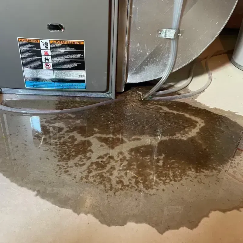 Appliance Leak Cleanup in Vandalia, MO